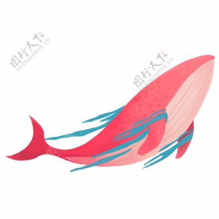 红色海洋鲸鱼插画