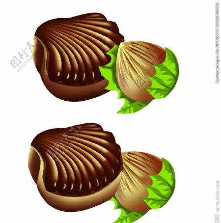 贝壳巧克力贝壳巧克力