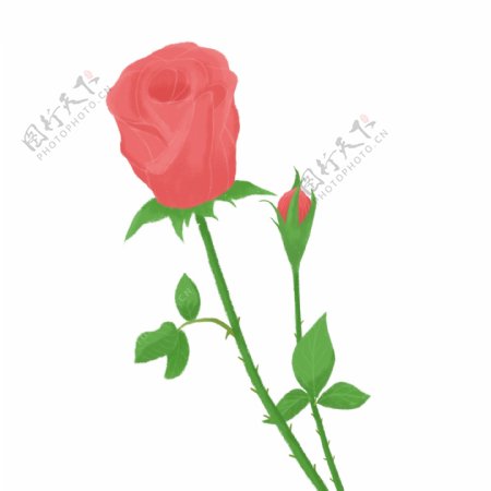 小清新手绘风格红色玫瑰
