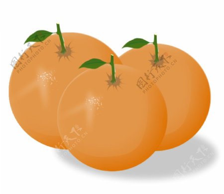 橙子立体橙子