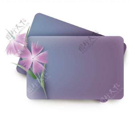 瞿麦花紫色立体文本框