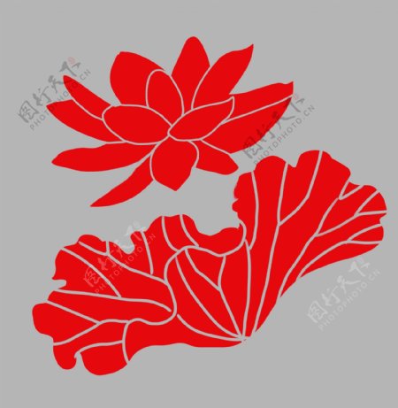 红色荷花装饰植物