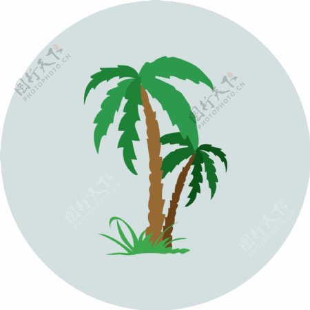 扁平椰树app图标