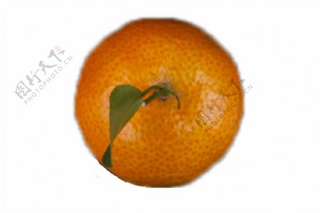 一个美味新鲜甘甜的橘子