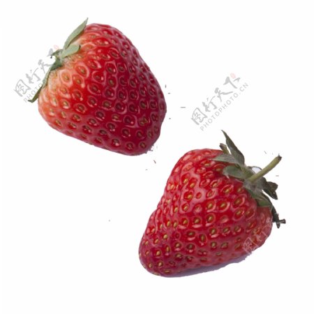 两颗新鲜的实物草莓免扣图