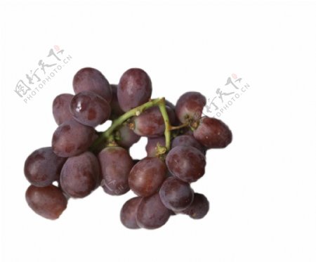 一串新鲜美味的葡萄
