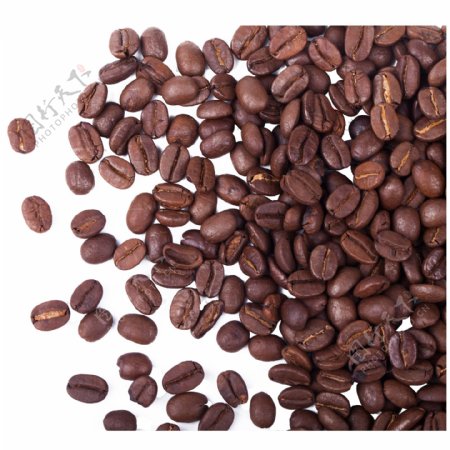 实拍咖啡原料咖啡豆