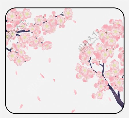 美丽的粉色樱花插画