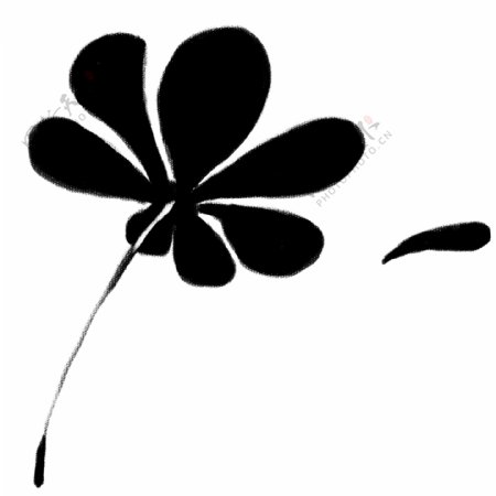 黑色花朵花瓣插图