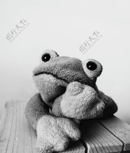 可爱摇粒绒青蛙玩偶黑白照片
