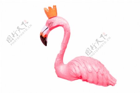 粉色的鸟