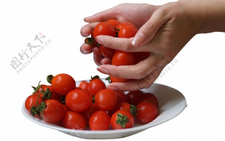装满一盘小番茄