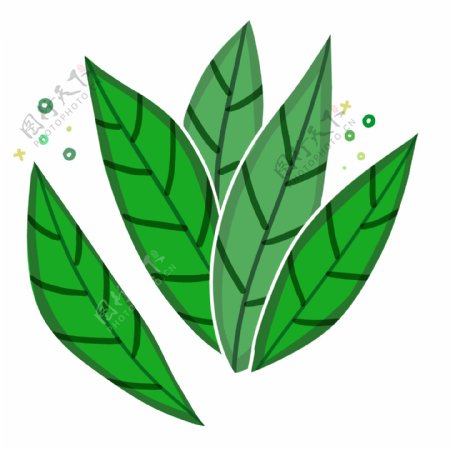 立体植物树叶图案