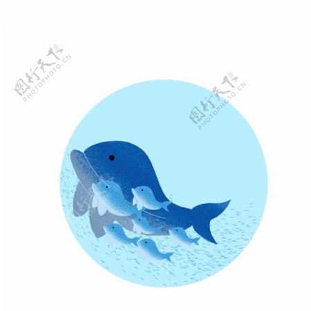 海洋海豚鱼群素材