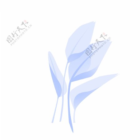 蓝白色的植物免扣图