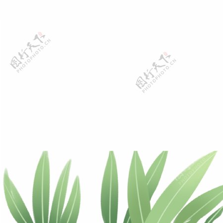 绿色的植物免扣图