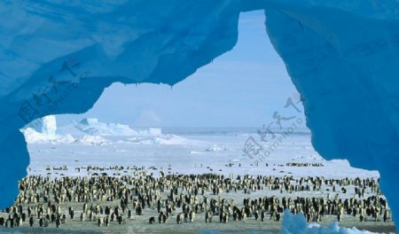 南极冰川风景
