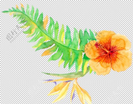 热带水彩植物插画树叶
