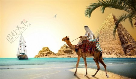 埃及金字塔骆驼海边场景