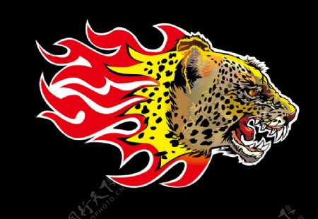 动物图标系列火焰猎豹头像