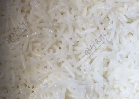 稻鳖米