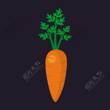 彩色胡萝卜设计