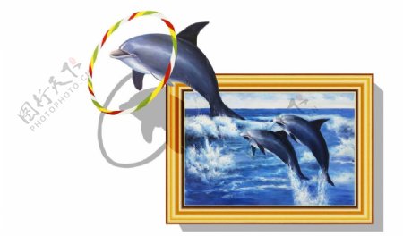 3D跳圈海豚