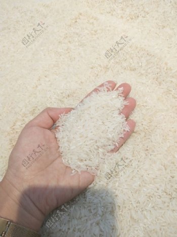 农家油粘米
