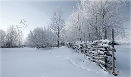 雪景背景
