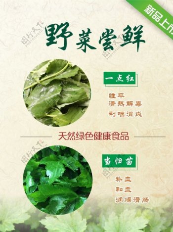 中式餐饮新鲜健康野菜海报