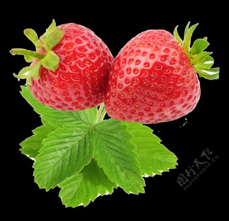 美味草莓插画