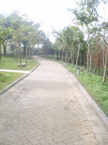 北滘公园