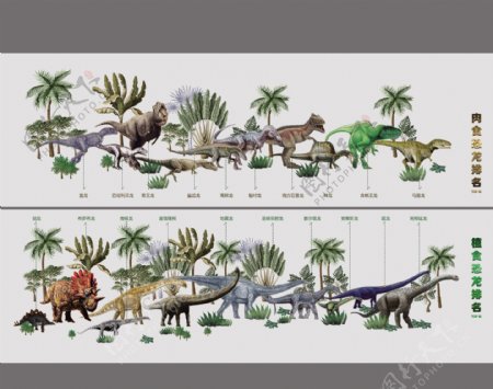 恐龙排名图集