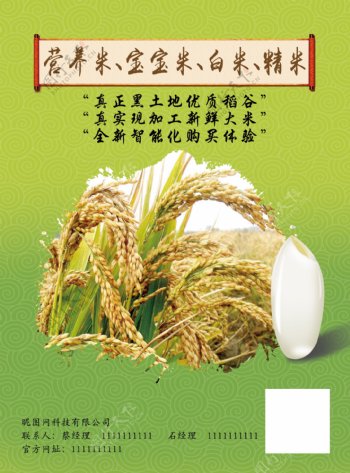 大米水稻粮食食品绿色海报宣传单