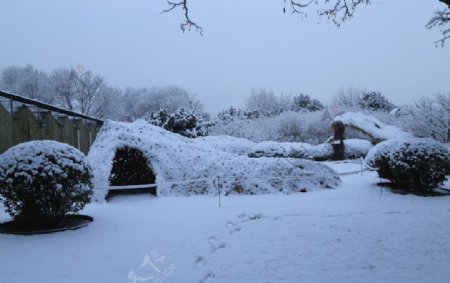 冬雪地景