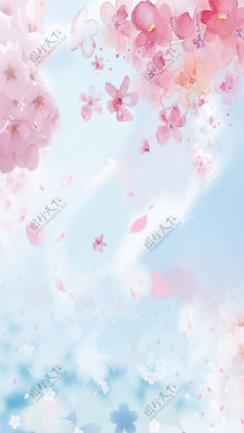 粉色樱花蓝天手绘彩绘背
