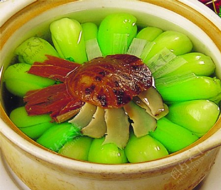 砂锅菜核