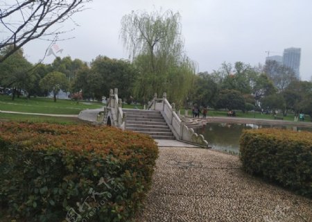 公园里的桥