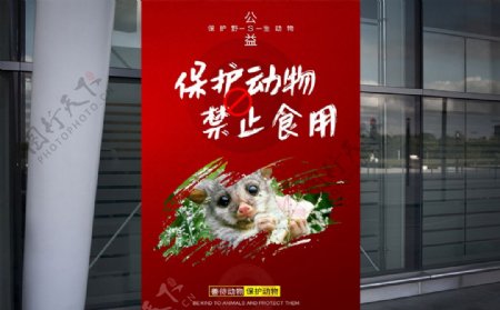 保护动物禁止野味公益宣传海报