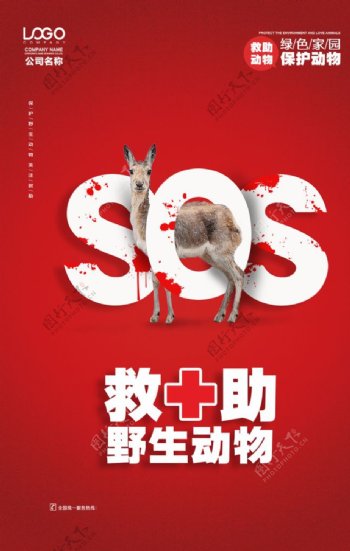 野生动物救助宣传海报