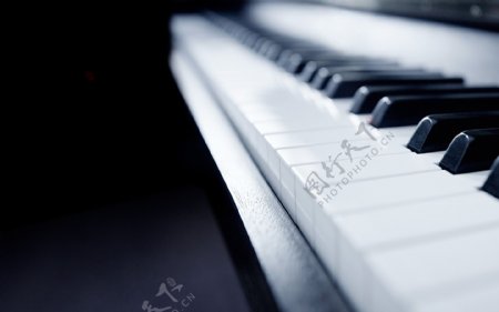 黑白钢琴