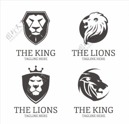 狮子头像标志logo