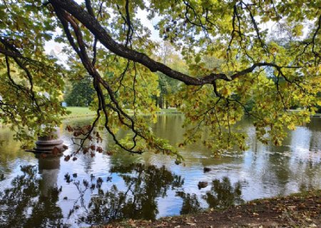 树湖公园池塘反射灵感