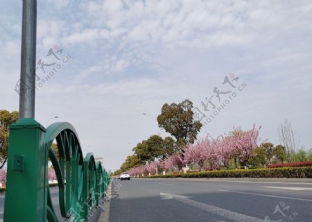 春日道路