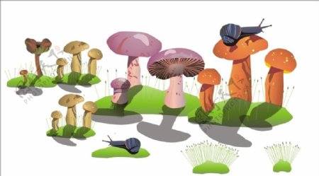 蘑菇广告写真3D
