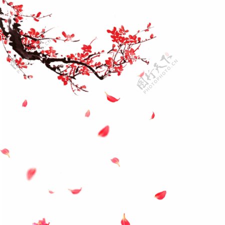 中式梅花花瓣