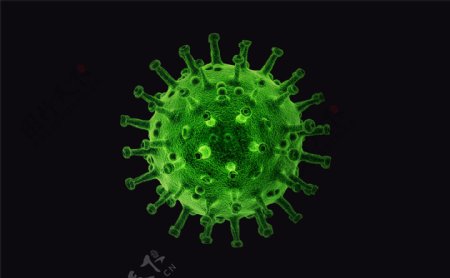 电子显微镜下的绿色冠状病毒