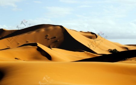 沙漠中的沙丘景观