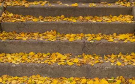 秋季楼梯上的叶子
