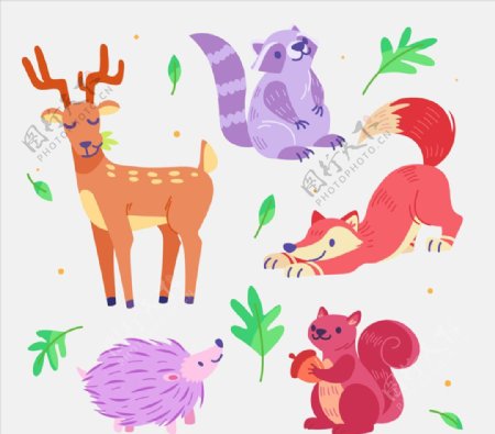 5款彩色森林动物设计矢量图